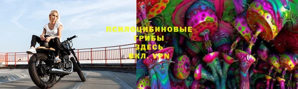 каннабис Коряжма