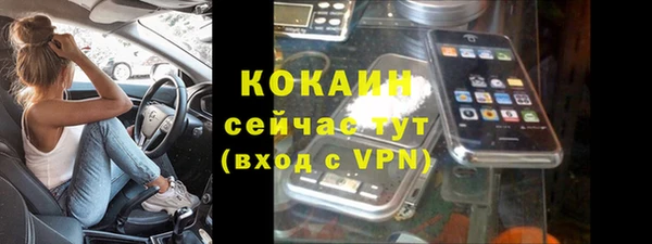 хмурый Корсаков