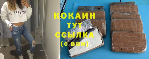 стафф Кодинск