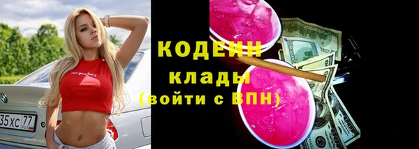 хмурый Корсаков