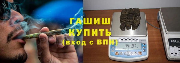 стафф Кодинск