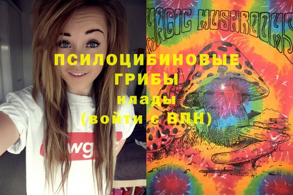 хмурый Корсаков