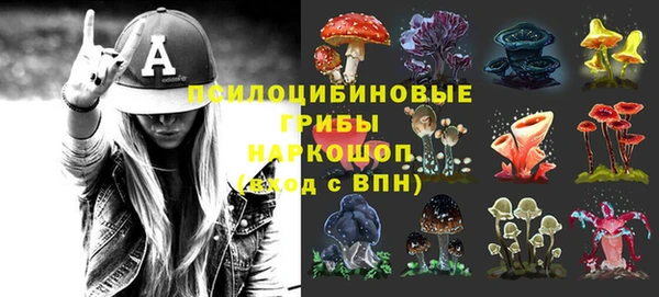 стафф Кодинск