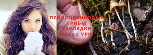 каннабис Коряжма
