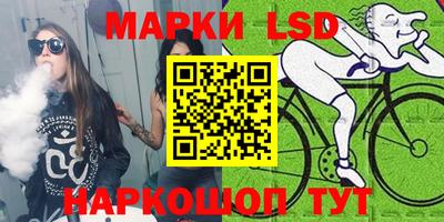 прущие грибы Будённовск