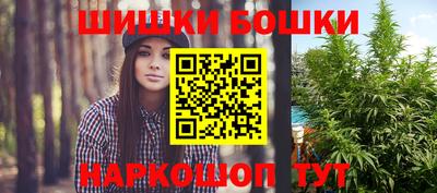 прущие грибы Будённовск