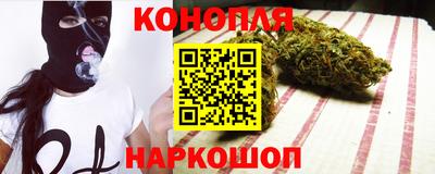 прущие грибы Будённовск