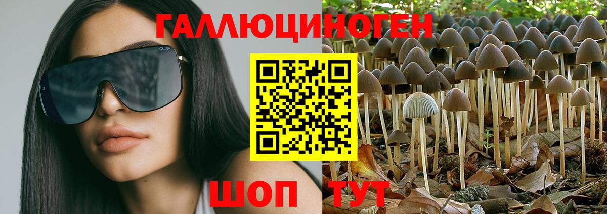Новомосковск  Галлюциногенные грибы Cubensis  Вход с VPN  Галлюциногенные грибы прущие грибы 