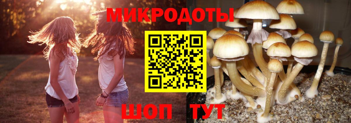 Галлюциногенные грибы мицелий Новомосковск