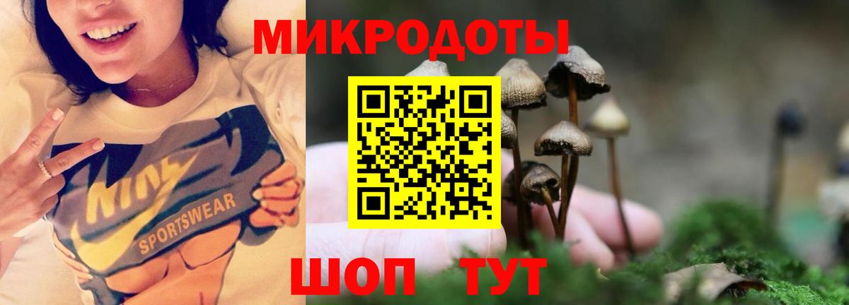 Галлюциногенные грибы Magic Shrooms Новомосковск